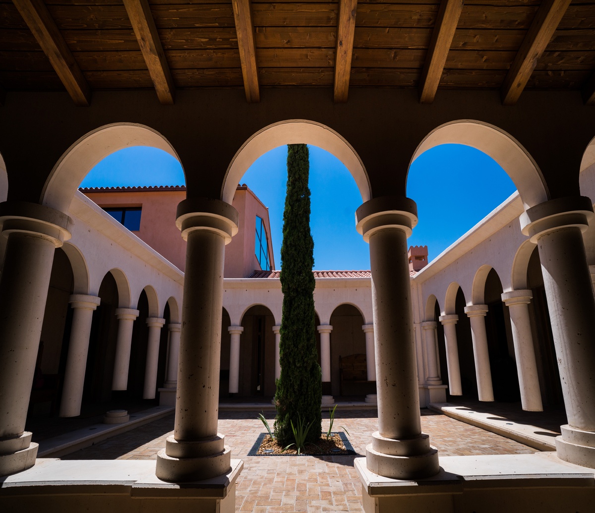 les vinyes del convent