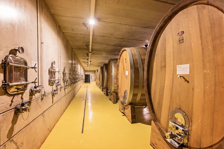 CELLER 18