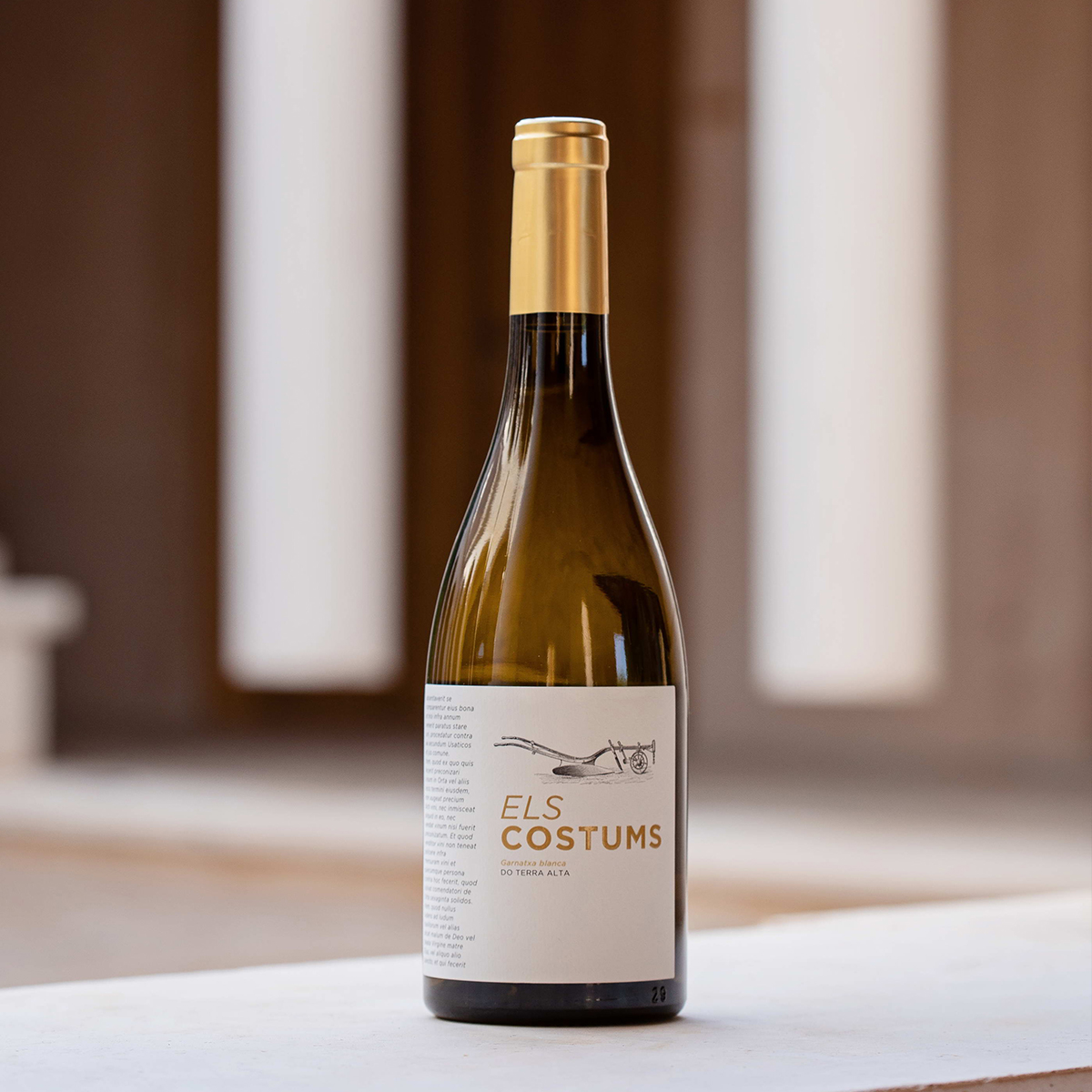 VinyesIVins-elscostums-blanc