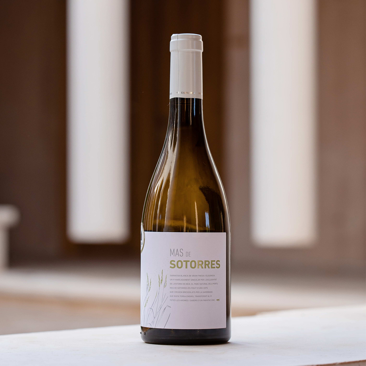 VinyesIVins-massotorres